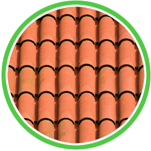 clean tile roof in michigan